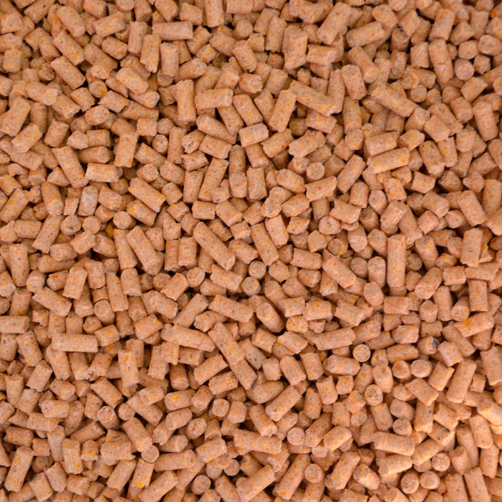 Lechón Plus - Image 2