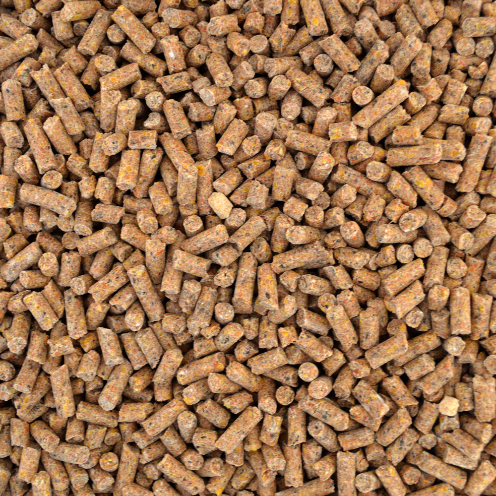 Bovino Terminador - Image 2